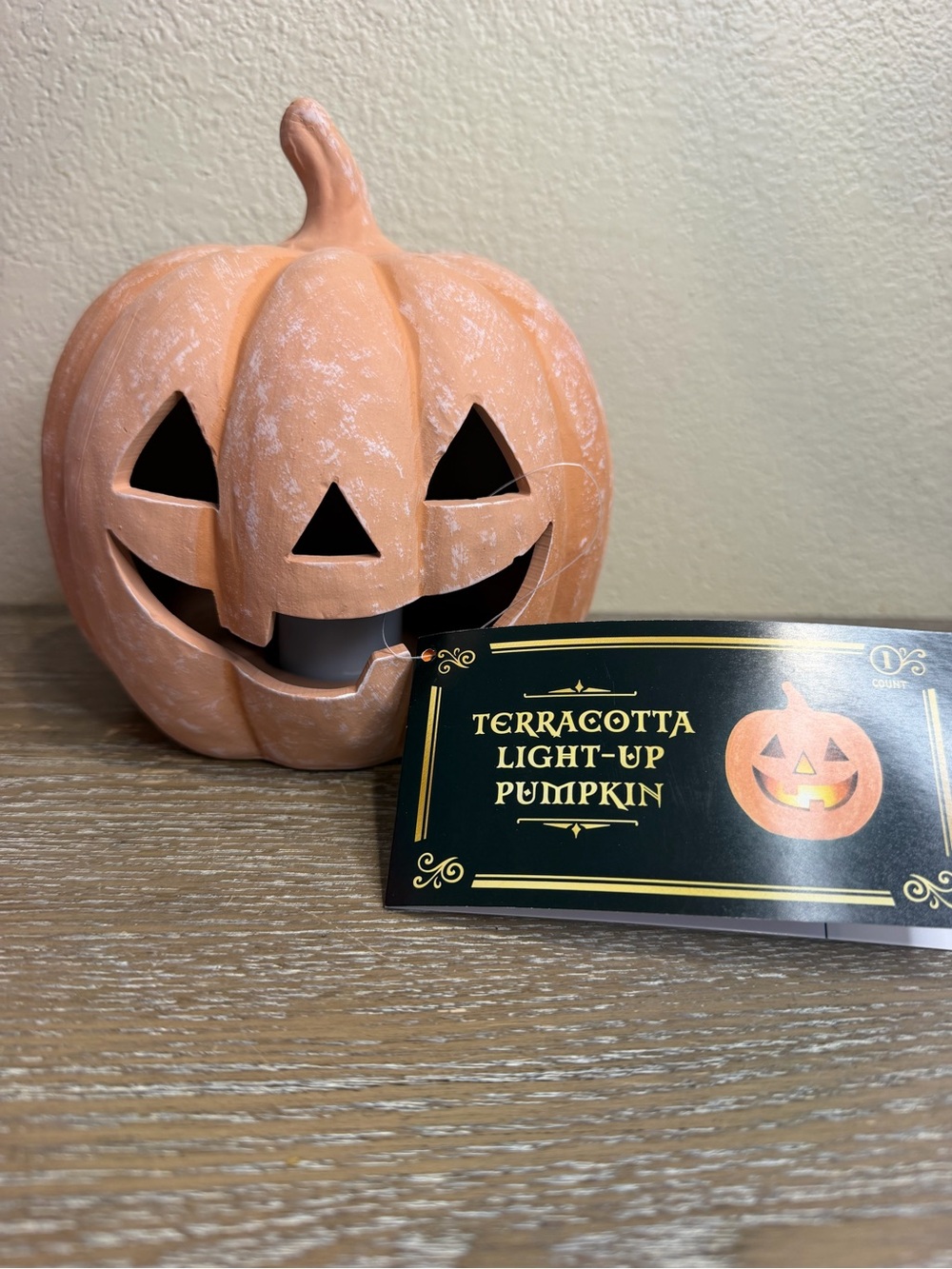 NEW Target Bullseye Playground Light Up Terracotta Pumpkin Halloween Decor